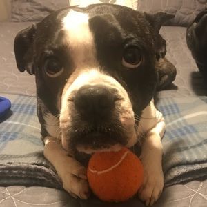 Meet your Posher, Roger